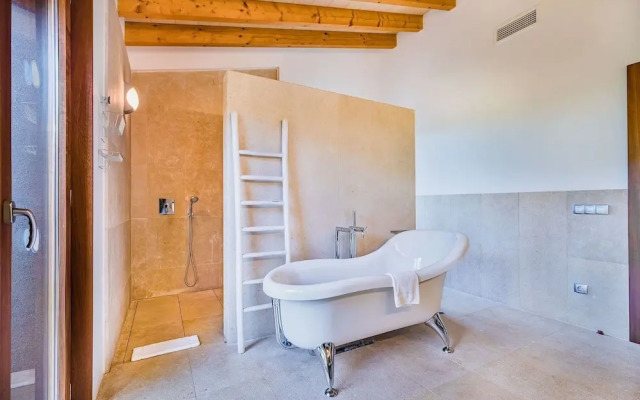 NEW 2020 - Empaltada