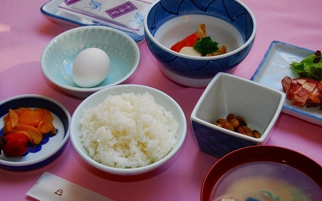 Hotel Fukui Castle