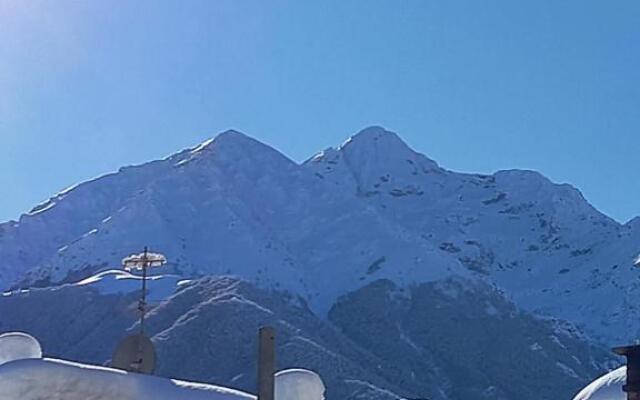 La Fisarmonica