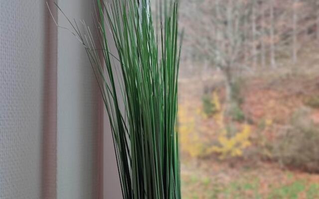 Room in Guest Room - Pension Forelle Double Room