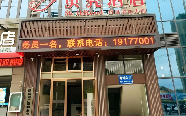 Shell Guangxi Fangchenggang City Fangchenggang Hig