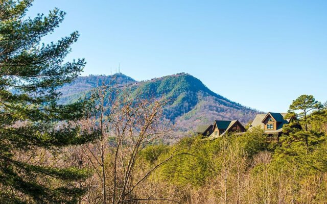 Playhouse Cinema - Four Bedroom Cabin
