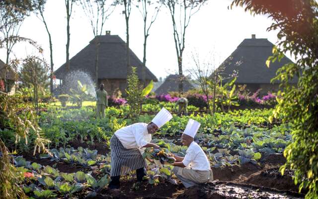 Neptune Ngorongoro Luxury Lodge