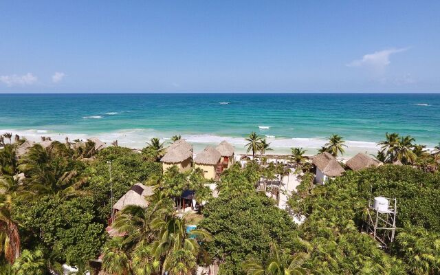Residencia Gorila