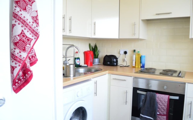 Spacious 1 Bedroom Apartment in Homerton