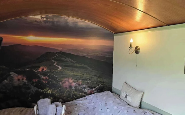 Woodend Hideaway Hamsterley - Sleeps 2 & Garden