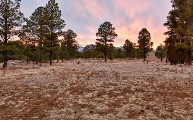 FlagRanch - 4 Br cabin by RedAwning