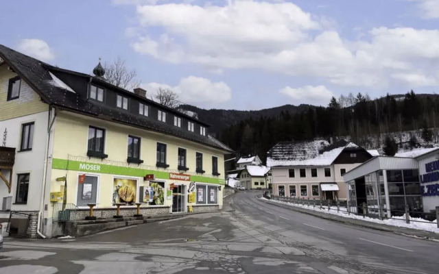 Apartment Moser Stein an der Enns