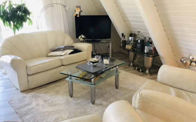 Frog Prince Modern Retreat