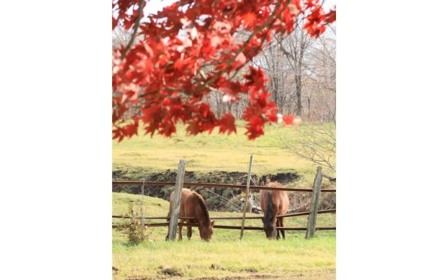 Farm Inn Torch B - Vacation STAY 92724v