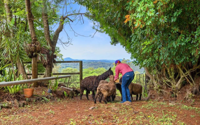 Serendipity Farm