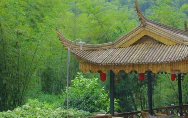 Yibin, Sichuan Bamboo Sea of Emerald Hills