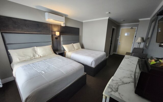 Newfound Inn & Suites