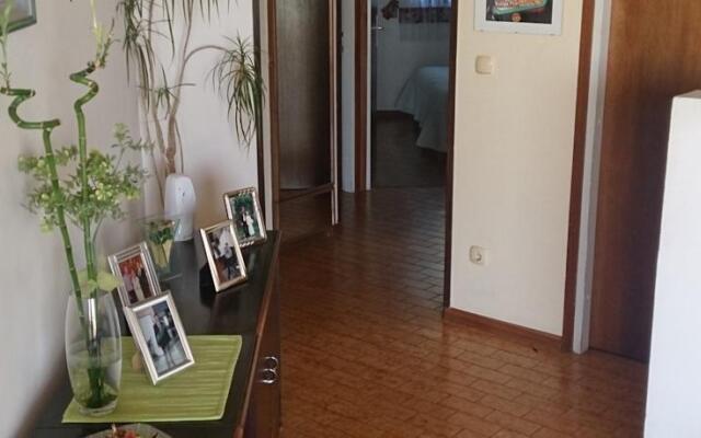 Apartment Vlado