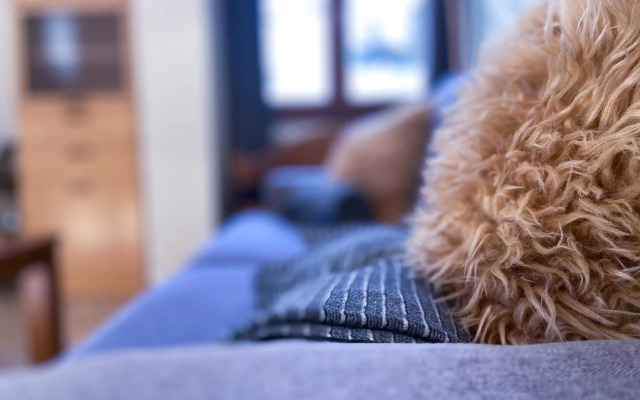 Nuevo apartamento Esquí wifi y netflix para 6 personas