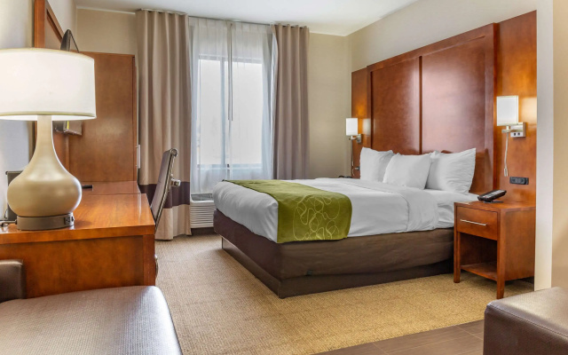 Comfort Suites Dover University Area