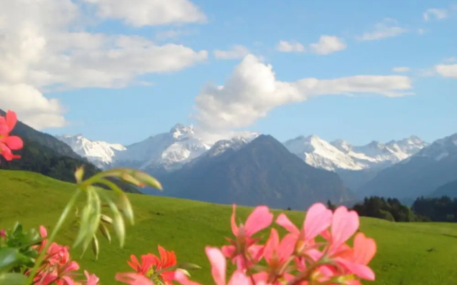 Holiday Apartment Hornerblick