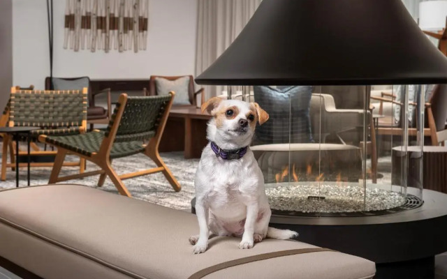 Residence Inn Seattle Northgate Station