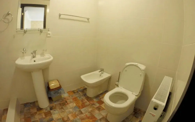 Отель ArtVilla Bakuriani