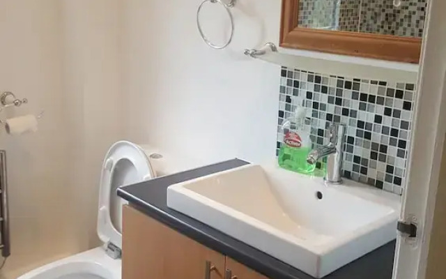 Dragon - North Woodside Apartment 1 Bedroom Home