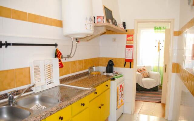 Cats House