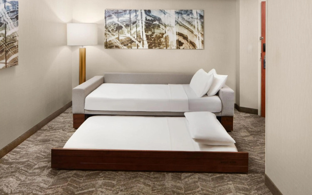 SpringHill Suites by Marriott Virginia Beach Oceanfront