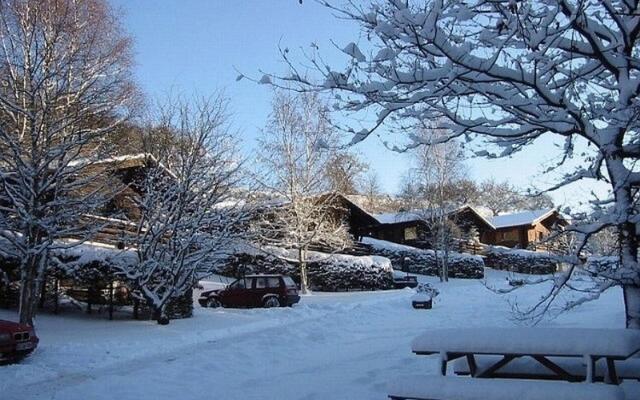 Attractive Chalet With Fireplace