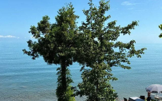 Seafront Apartment