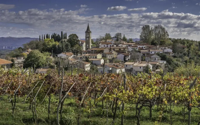 Tourist Farm Tonin - Apartment 3