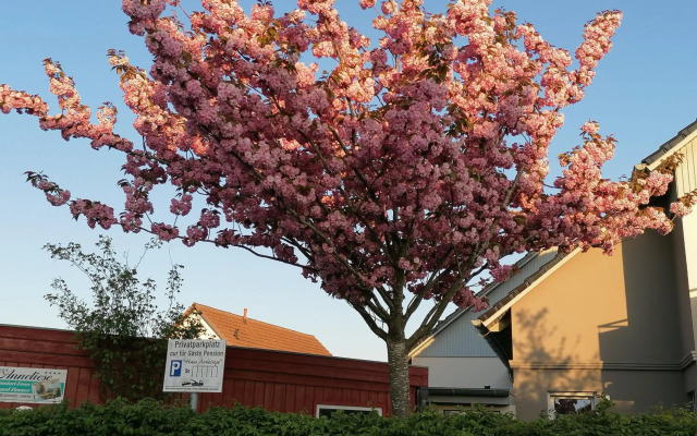 Pension Haus Anneliese