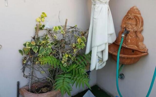 Roof Garden