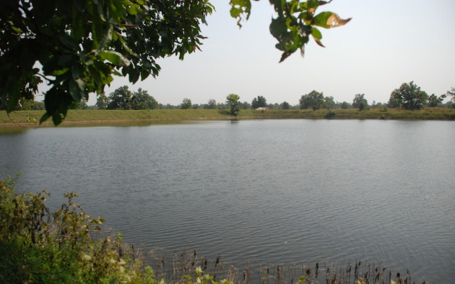 WelcomHeritage Jungle Home