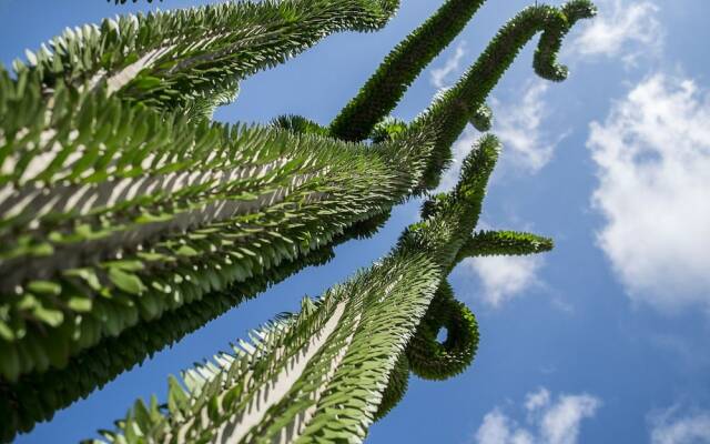 Relais Garden Cactus B&B