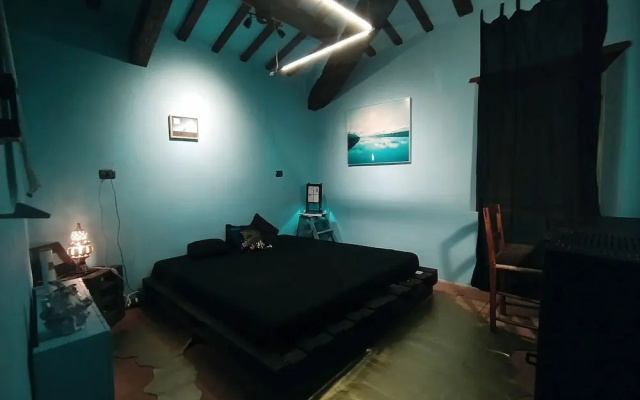 Casa Sponge