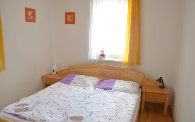 Lipno Riviéra - Myši v botě