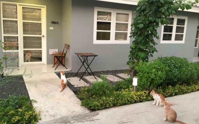 1715 House - White Rhino