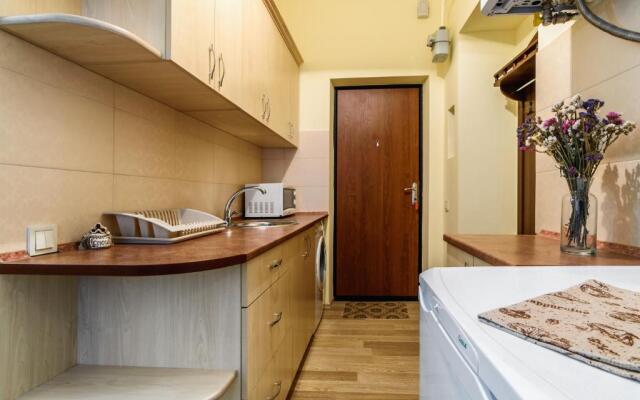 Apartment On Yana Zhizhky