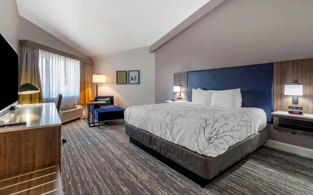 Best Western Premier Denver East