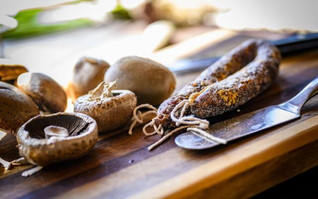 Toro River Lodges Big 5 Exclusive Safari