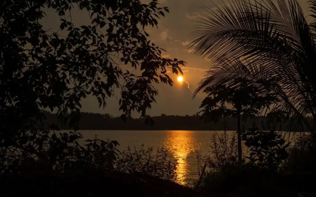 Shvas Island Resort