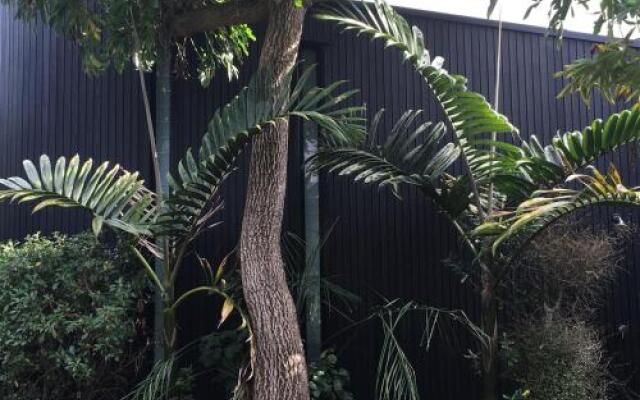 Hot Water Beach Bure Wera