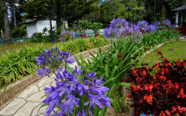 Sweet home Ch 1 – Outside – Brinchang