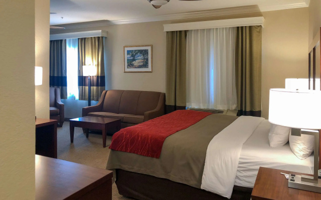 Comfort Inn Early Brownwood