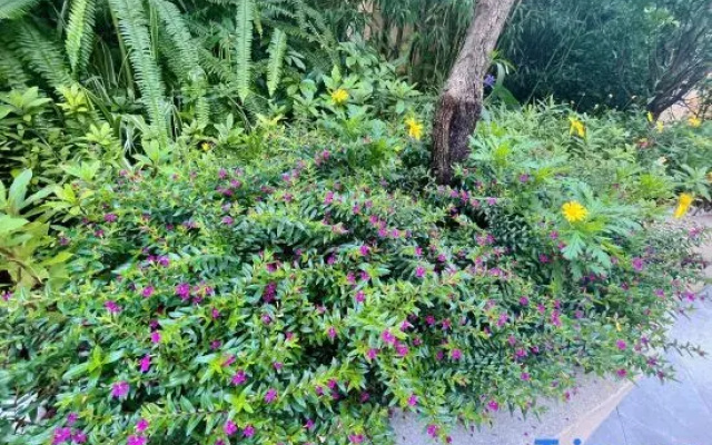 Ouqiyuan Homestay (Dianchi Lake Haigeng Dam)