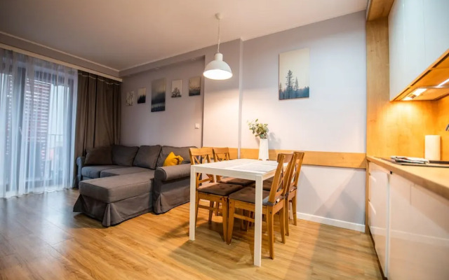 City Lights Kazimierz