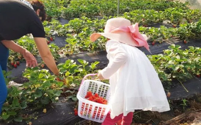 Xichang Qionghai Kanglv Family Holiday Health Villa