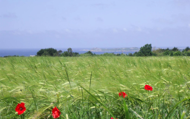 Stone House Near Rosa Granite Coast