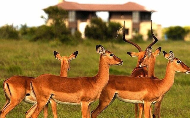 Ol Pejeta Holiday Villas