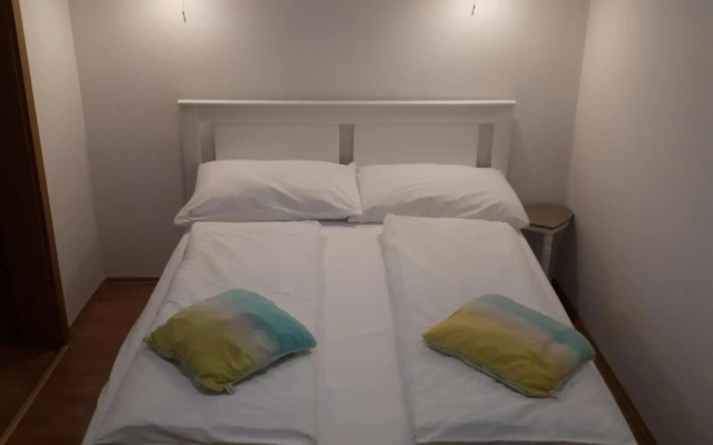 Apartment Viki