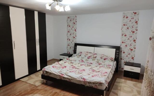 Apartament 2 la Vila